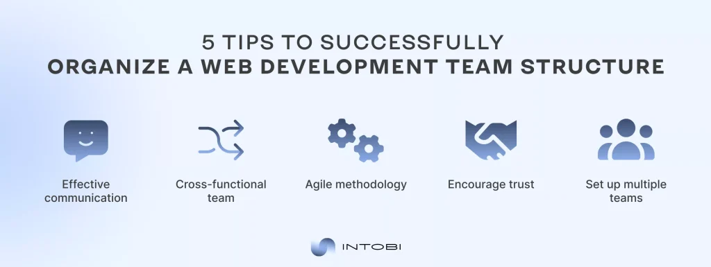 5 Tips to Organize a Web Development Team Structure Web development team structure tips infographic